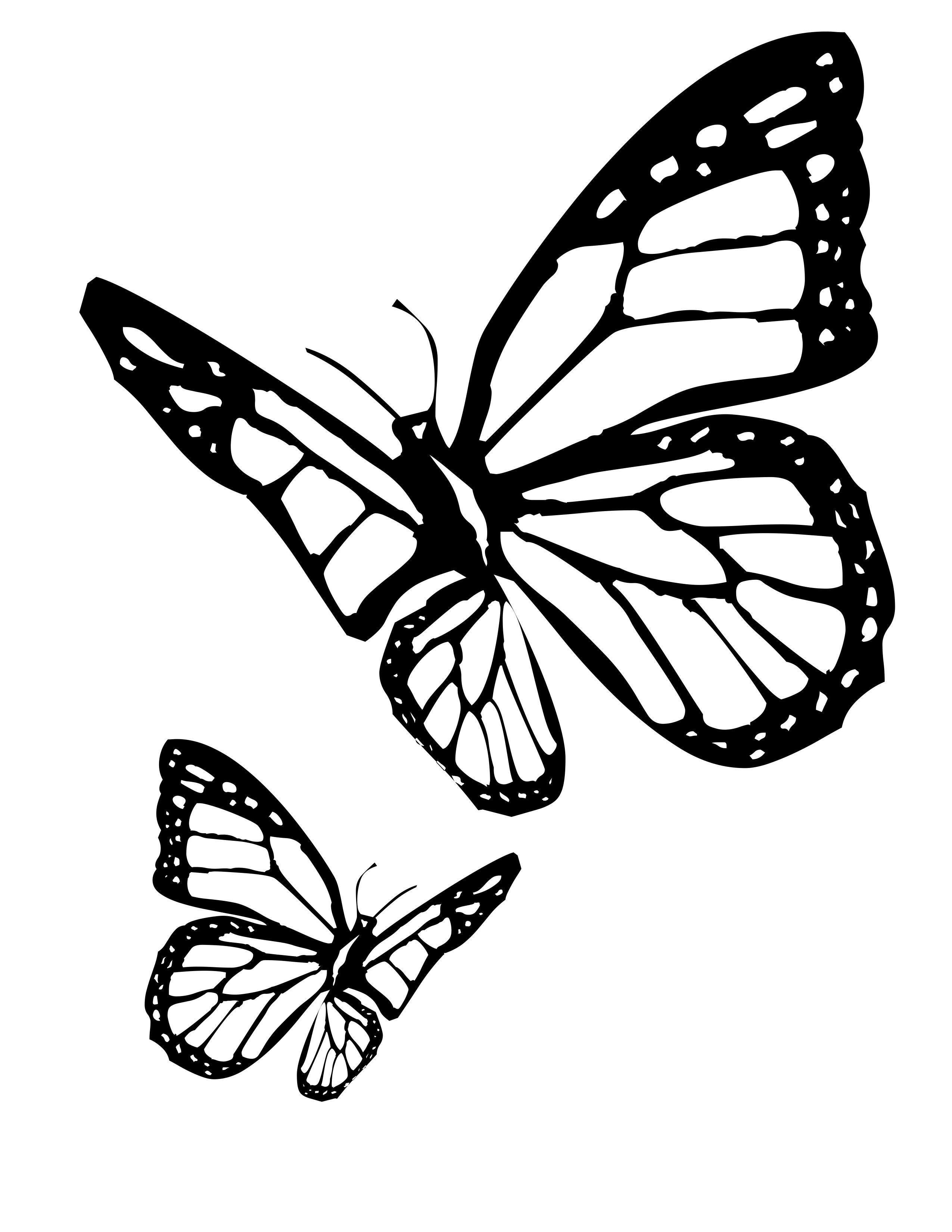 Free coloring pages of butterfly