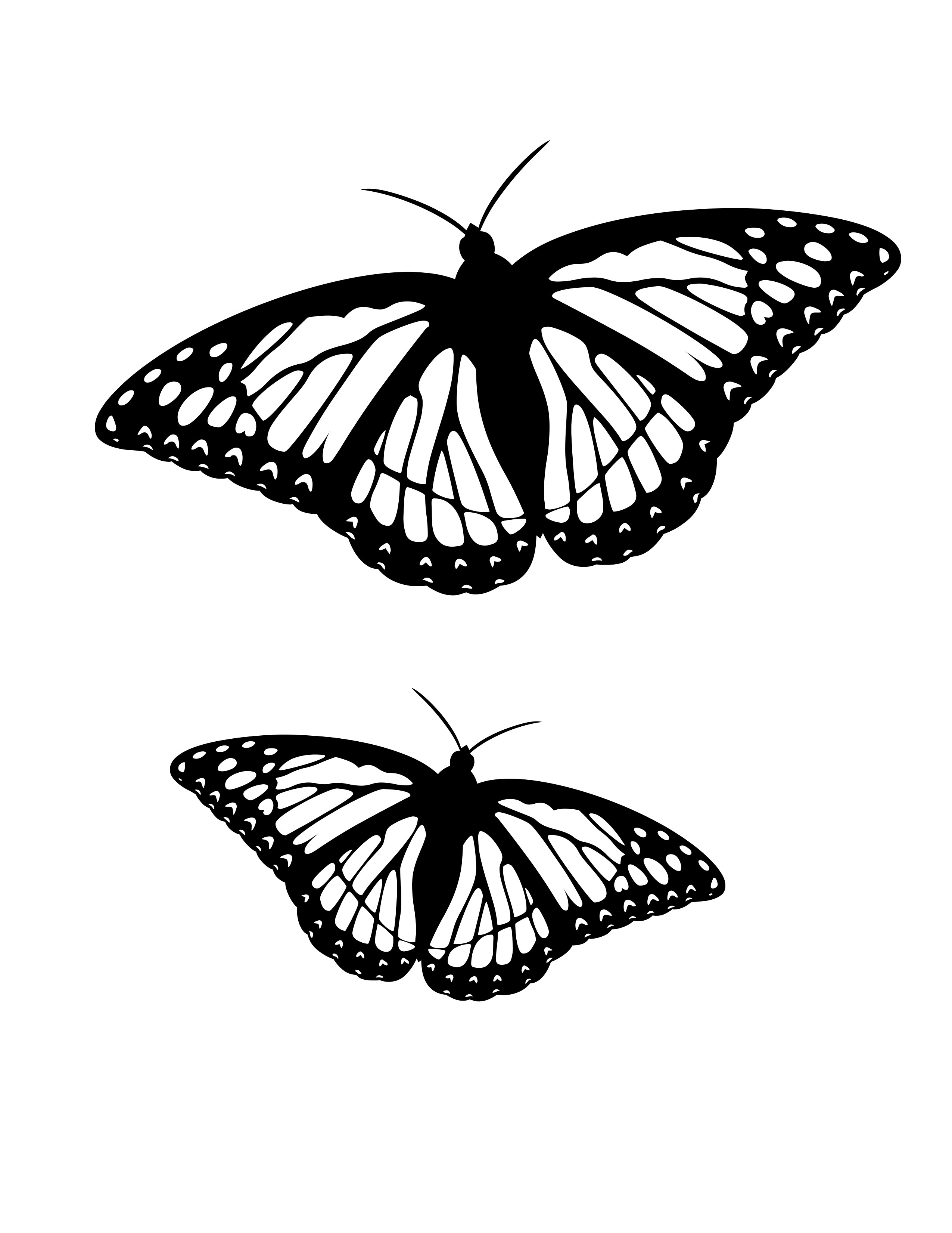 Butterfly Pictures Coloring Pages - Magnificent butterfly - Insects