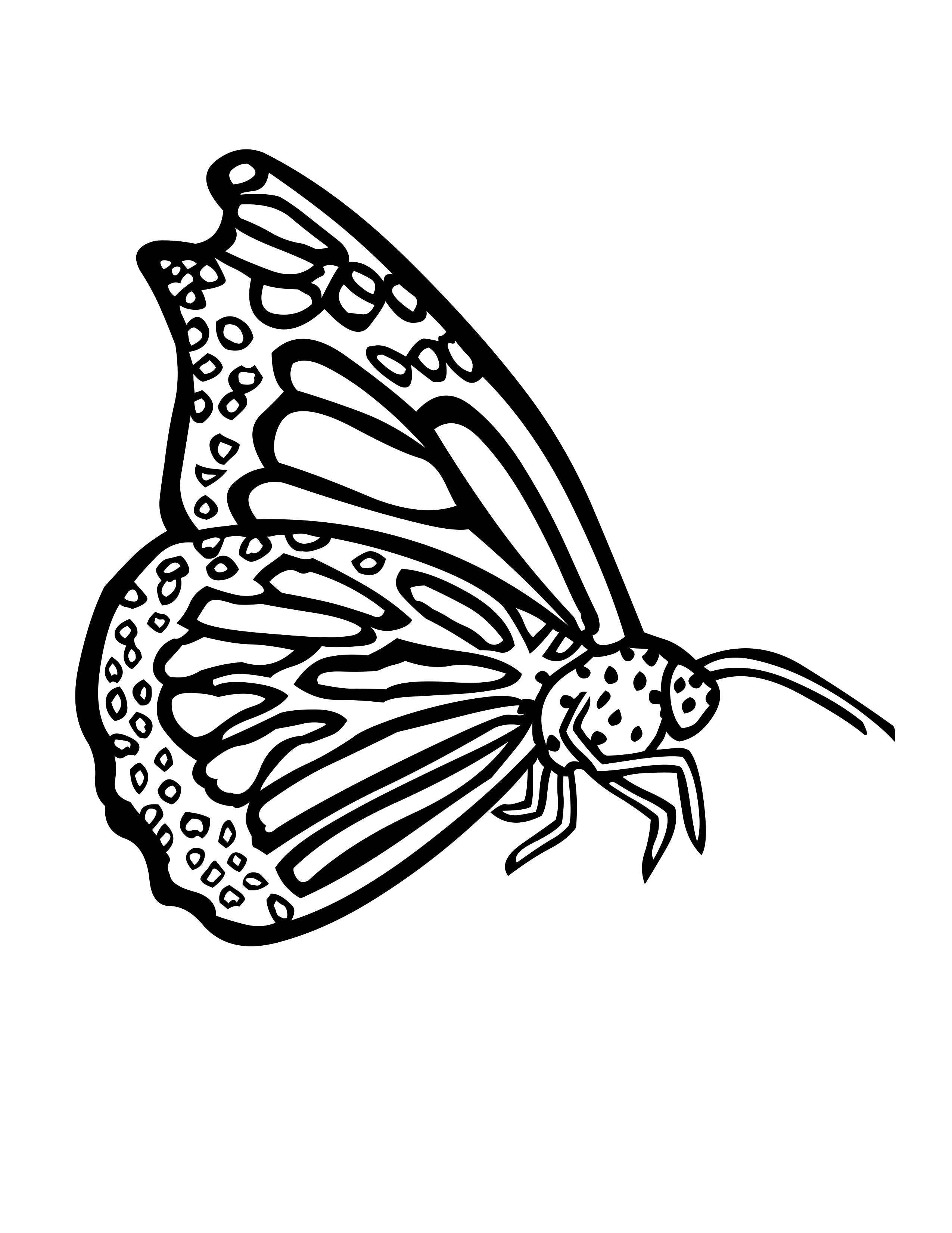 Butterfly Coloring Pages