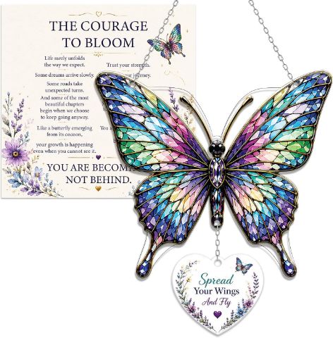 Acrylic Butterfly Suncatchers, 4